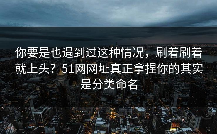 你要是也遇到过这种情况,刷着刷着就上头?51网网址真正拿捏你的其实是分类命名