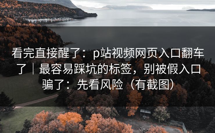 看完直接醒了：p站视频网页入口翻车了｜最容易踩坑的标签，别被假入口骗了：先看风险（有截图）
