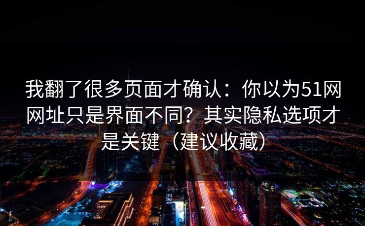 我翻了很多页面才确认:你以为51网网址只是界面不同?其实隐私选项才是关键(建议收藏)
