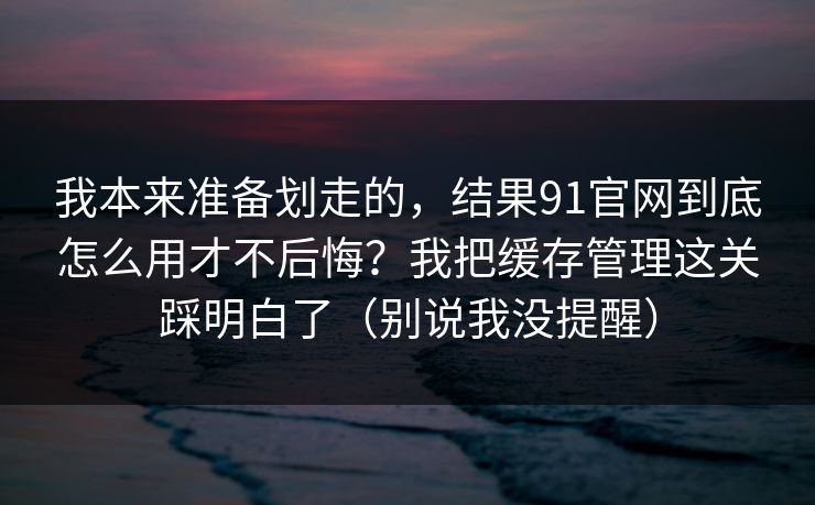 我本来准备划走的,结果91官网到底怎么用才不后悔?我把缓存管理这关踩明白了(别说我没提醒)